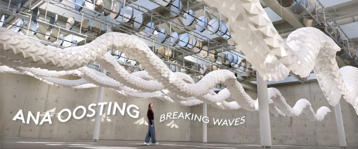 Ana Oosting - Breaking Waves